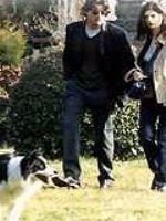 Turbo Sezon 1 posteri