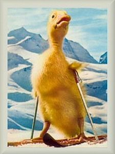 Les Aventures de Saturnin Sezon 1 posteri