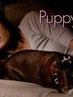 Puppy Love Sezon 1 posteri