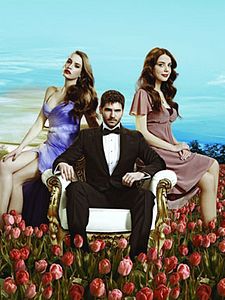 Lale Devri Sezon 4 posteri