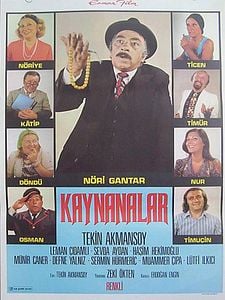 Kaynanalar Sezon 1 posteri