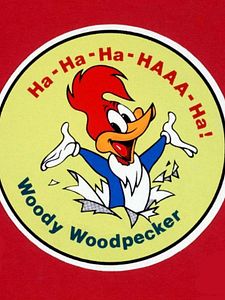 The Woody Woodpecker Show Sezon 4 posteri