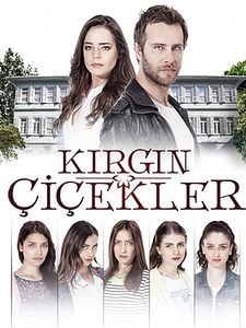 Kırgın Çiçekler Sezon 3 posteri
