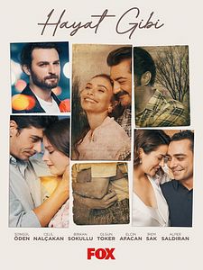 Bir Aile Hikayesi Sezon 2 posteri