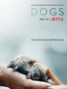 Dogs Sezon 2 posteri