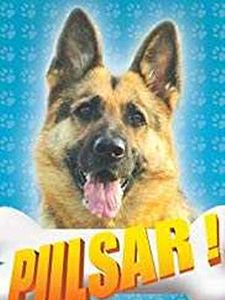 Pulsar Sezon 1 posteri