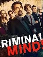 Criminal Minds Sezon 15 posteri