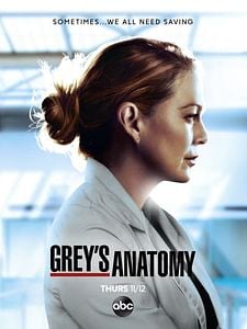 Grey's Anatomy Sezon 22 posteri