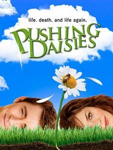 Pushing Daisies Sezon 2 posteri