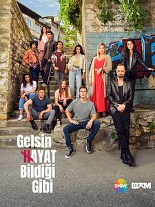 Gelsin Hayat Bildiği Gibi Sezon 1 posteri