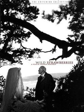 Yaban Çilekleri posteri