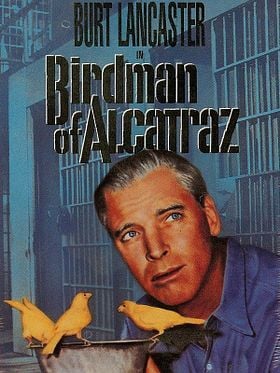 Alkatraz Kuşçusu posteri