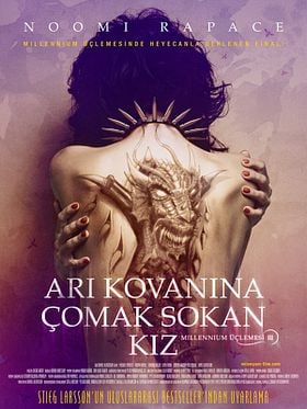 Arı Kovanına Çomak Sokan Kız posteri