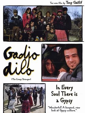 Çılgın Yabancı posteri