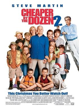 Cheaper by the Dozen 2 posteri