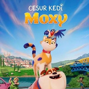 Fotoğraf Cesur Kedi Moxy