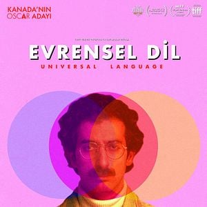 Fotoğraf Evrensel Dil