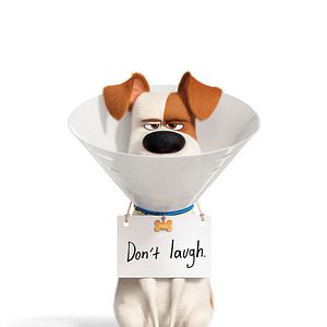 Fotoğraf Evcil Hayvanların Gizli Yaşamı 2