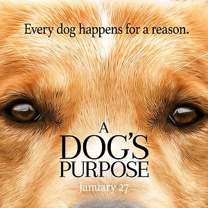 Fotoğraf Can Dostum