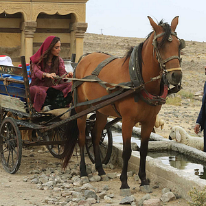 Fotoğraf Kara Ağaç Destanı
