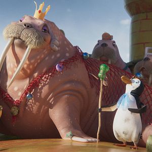 Fotoğraf Şarkıcı Balina