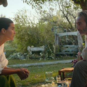 Fotoğraf Zeytin Ağacı