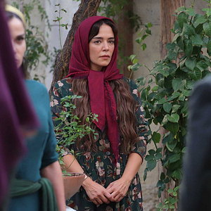 Fotoğraf Kara Ağaç Destanı