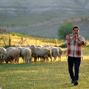 Fotoğraf Gönül Dağı