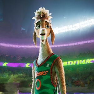 Fotoğraf Şampiyon Keçi: Tüm Zamanların En İyisi