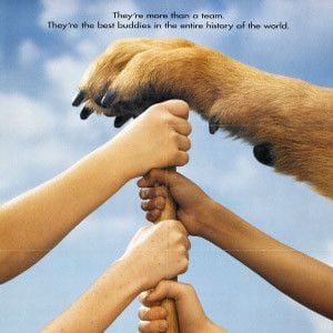 Fotoğraf The Sandlot