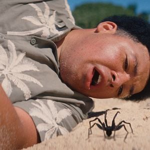 Fotoğraf Spider Island