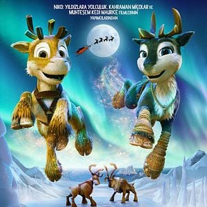 Fotoğraf Niko 3: Kuzey Işıklarının Ötesinde