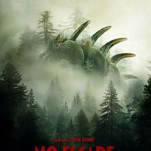 Fotoğraf Grizzly Night