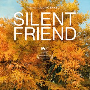 Fotoğraf Sessiz Dost