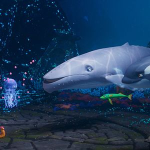 Fotoğraf Şarkıcı Balina