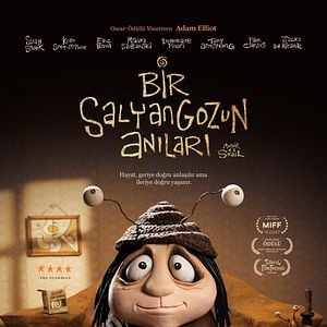 Fotoğraf Bir Salyangozun Anıları