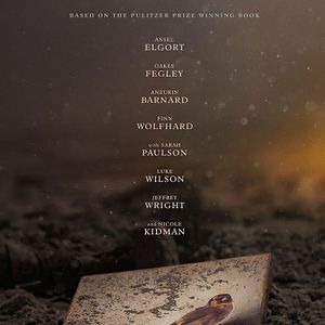 Fotoğraf Saka Kuşu