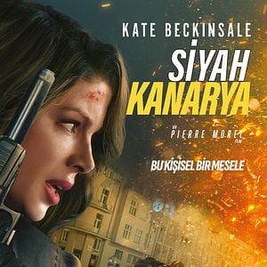 Fotoğraf Siyah Kanarya