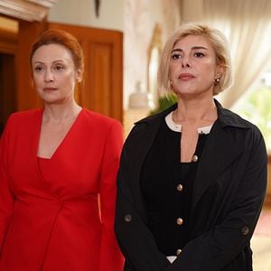 Fotoğraf Yalı Çapkını