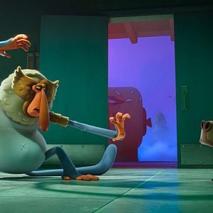 Fotoğraf Cesur Hayvanat Bahçesi Sakinleri 