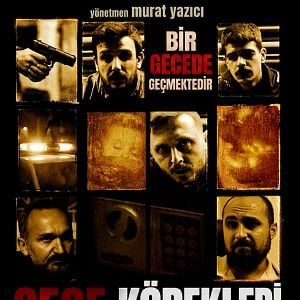 Fotoğraf Gece Köpekleri