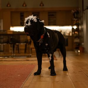 Fotoğraf Kimler Geldi Kimler Geçti