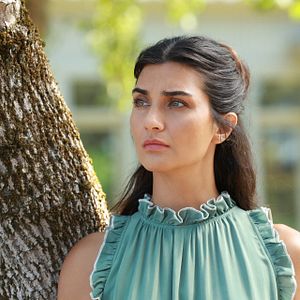 Fotoğraf Zeytin Ağacı