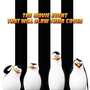 Fotoğraf Madagaskar Penguenleri