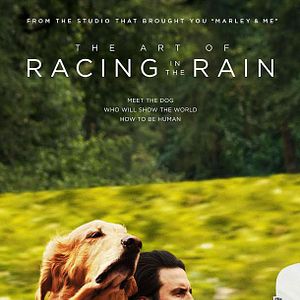 Fotoğraf Enzo: Yağmurda Yarış Sanatı