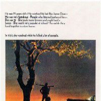 Fotoğraf Kanlı Toprak