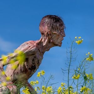 Fotoğraf 28 Yıl Sonra