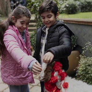 Fotoğraf Sahipsizler