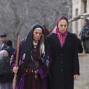 Fotoğraf Kara Ağaç Destanı