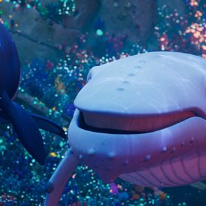 Fotoğraf Şarkıcı Balina